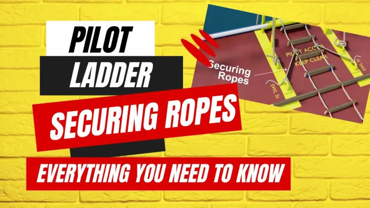 An image of pilot ladder securing ropes fixed to deck strong points